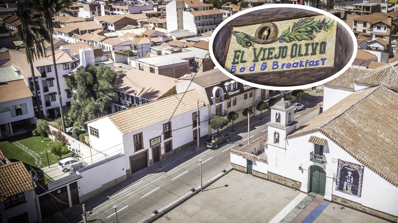 Viejo Olivo B&B 수크레 외부 사진